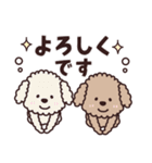 トイプー♡ずっと使える夏（個別スタンプ：21）