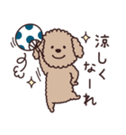 トイプー♡ずっと使える夏（個別スタンプ：24）