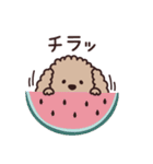 トイプー♡ずっと使える夏（個別スタンプ：25）