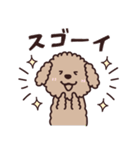 トイプー♡ずっと使える夏（個別スタンプ：26）