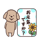 トイプー♡ずっと使える夏（個別スタンプ：27）