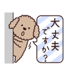 トイプー♡ずっと使える夏（個別スタンプ：29）