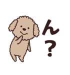 トイプー♡ずっと使える夏（個別スタンプ：30）