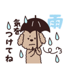 トイプー♡ずっと使える夏（個別スタンプ：35）