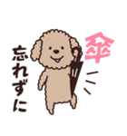 トイプー♡ずっと使える夏（個別スタンプ：36）
