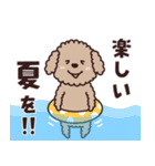 トイプー♡ずっと使える夏（個別スタンプ：37）