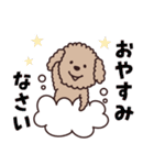 トイプー♡ずっと使える夏（個別スタンプ：40）