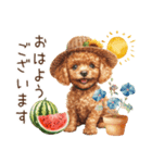 夏だよ！敬語でトイプードル（個別スタンプ：1）