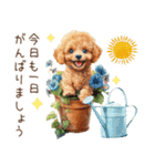 夏だよ！敬語でトイプードル（個別スタンプ：4）