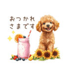 夏だよ！敬語でトイプードル（個別スタンプ：5）