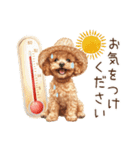 夏だよ！敬語でトイプードル（個別スタンプ：17）
