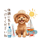 夏だよ！敬語でトイプードル（個別スタンプ：20）