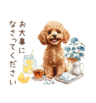 夏だよ！敬語でトイプードル（個別スタンプ：21）