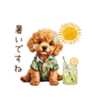 夏だよ！敬語でトイプードル（個別スタンプ：28）