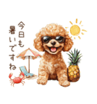 夏だよ！敬語でトイプードル（個別スタンプ：29）