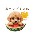 夏だよ！敬語でトイプードル（個別スタンプ：30）