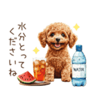 夏だよ！敬語でトイプードル（個別スタンプ：31）