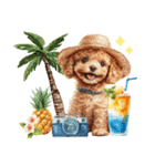 夏だよ！敬語でトイプードル（個別スタンプ：36）