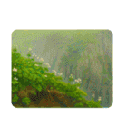 礼文島風景 vol.2（個別スタンプ：27）