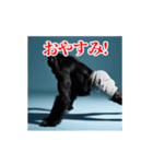 激しく動く！うざいゴリラ！（個別スタンプ：24）