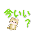 優しい色の超でか文字♪ちびころにゃん（個別スタンプ：5）