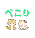 優しい色の超でか文字♪ちびころにゃん（個別スタンプ：40）