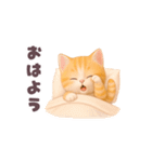 動く！にゃんこの夏休み（個別スタンプ：5）