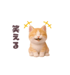 動く！にゃんこの夏休み（個別スタンプ：11）