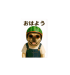 動くブヒブヒなかま（個別スタンプ：1）