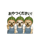 動くブヒブヒなかま（個別スタンプ：8）