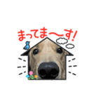 癒しのいっぬっ（個別スタンプ：2）