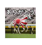 日章旗柄の競走馬（個別スタンプ：3）