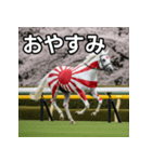 日章旗柄の競走馬（個別スタンプ：7）