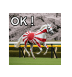 日章旗柄の競走馬（個別スタンプ：9）