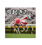 日章旗柄の競走馬（個別スタンプ：13）