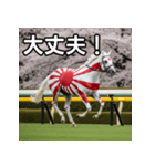 日章旗柄の競走馬（個別スタンプ：15）
