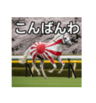 日章旗柄の競走馬（個別スタンプ：18）