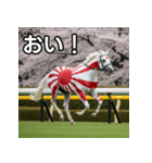 日章旗柄の競走馬（個別スタンプ：19）