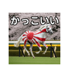日章旗柄の競走馬（個別スタンプ：21）
