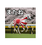 日章旗柄の競走馬（個別スタンプ：23）