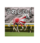 日章旗柄の競走馬（個別スタンプ：24）