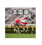 日章旗柄の競走馬（個別スタンプ：27）