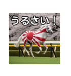 日章旗柄の競走馬（個別スタンプ：29）