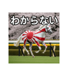日章旗柄の競走馬（個別スタンプ：30）