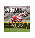 日章旗柄の競走馬（個別スタンプ：31）