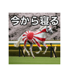 日章旗柄の競走馬（個別スタンプ：34）