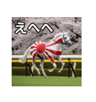 日章旗柄の競走馬（個別スタンプ：36）