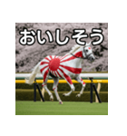 日章旗柄の競走馬（個別スタンプ：40）