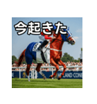 フランス国旗模様の競走馬（個別スタンプ：13）