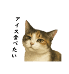 ツンデレ三毛猫の夏スタンプ（個別スタンプ：3）